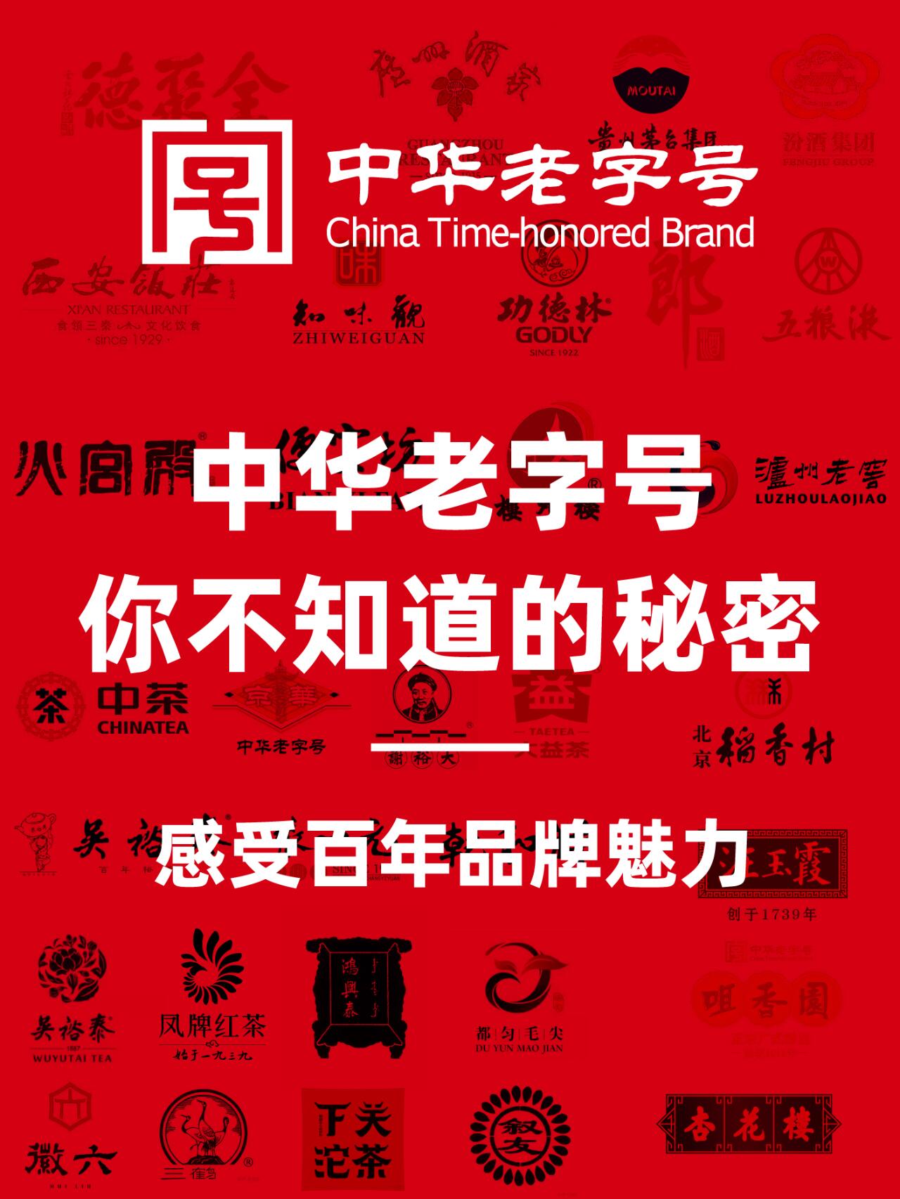 中华老字号品牌深度解析报告(2026 完整版)