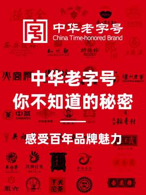 中华老字号品牌深度解析报告(2026 完整版)