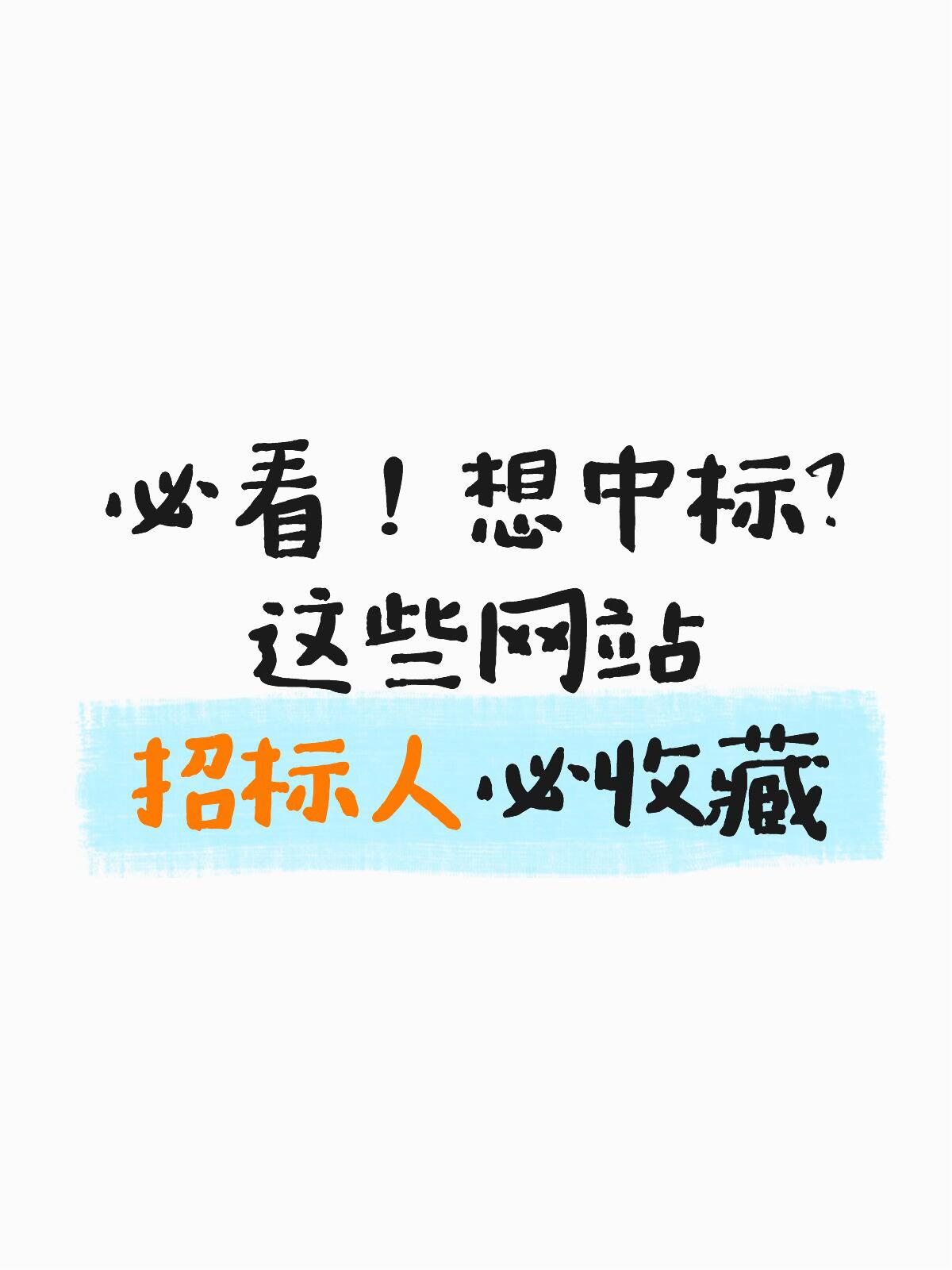 招标信息网 & 最新招标公告完整指南