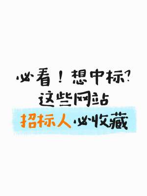 招标信息网 & 最新招标公告完整指南