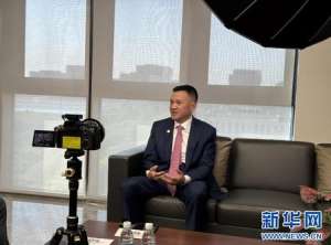 行业知名领军人物深度访谈(4 篇官方原版完整范文)