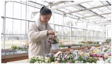 全行业女性创业者经典成功案例