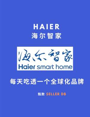 品牌成功案例深度解析|海尔:从家电制造商到全球唯一物联网生态品牌