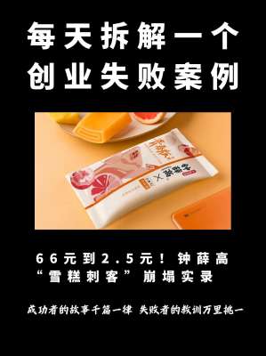 品牌失败案例深度解析—钟薛高从爆火到陨落全复盘