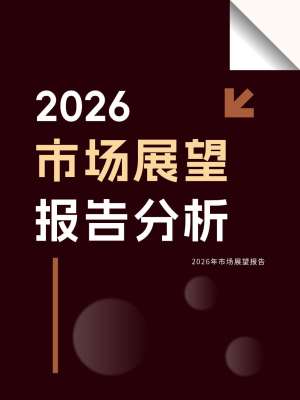 行业发展现状与未来前景分析报告(通用完整版)