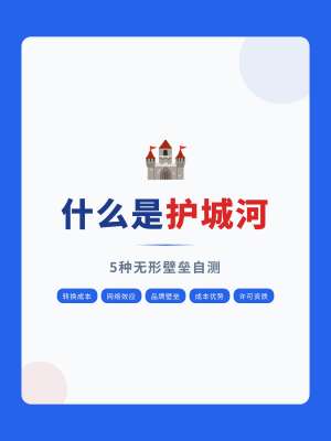 品牌护城河深度解析|底层逻辑、六大核心壁垒、真假区分与落地搭建体系