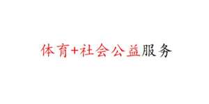 公益活动|体育志愿者服务|体育推广 全套业务介绍